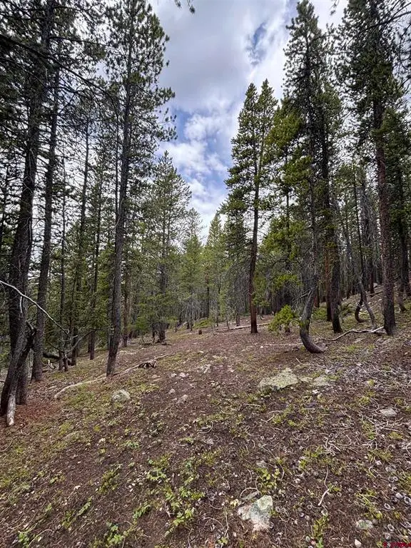 TBD Erie Mine Road, Sargents, CO 81248 - #3