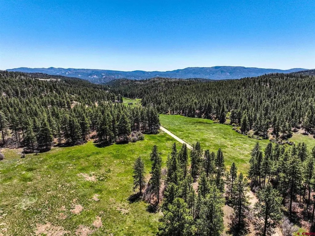 000 County Rd 193, Pagosa Springs, CO 81147 - #1