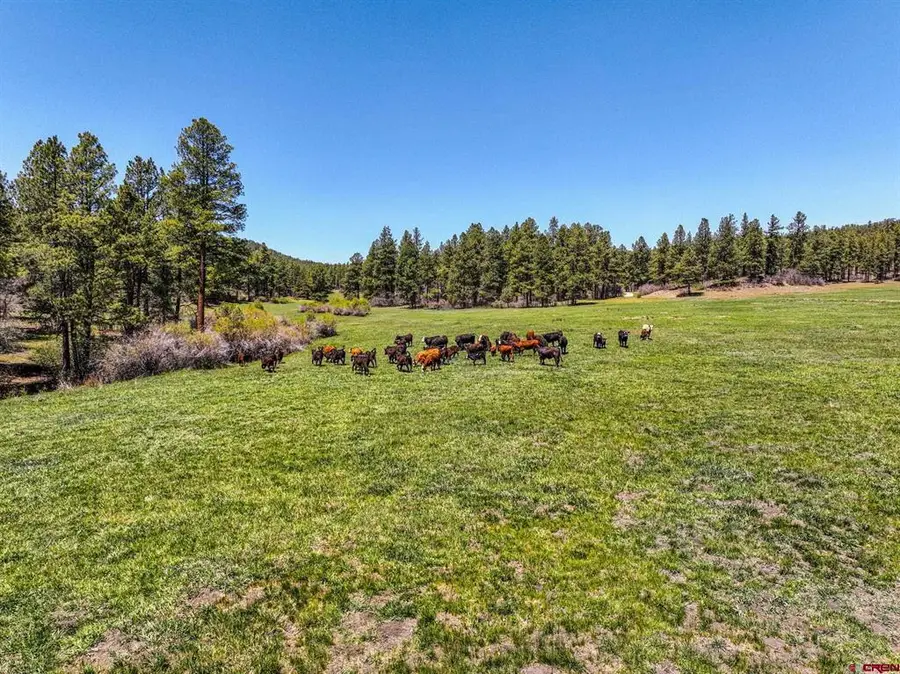 000 County Rd 193, Pagosa Springs, CO 81147 - #2
