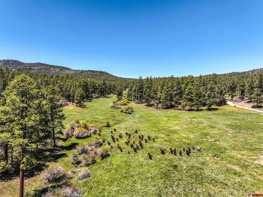 000 County Rd 193, Pagosa Springs, CO 81147 - #3