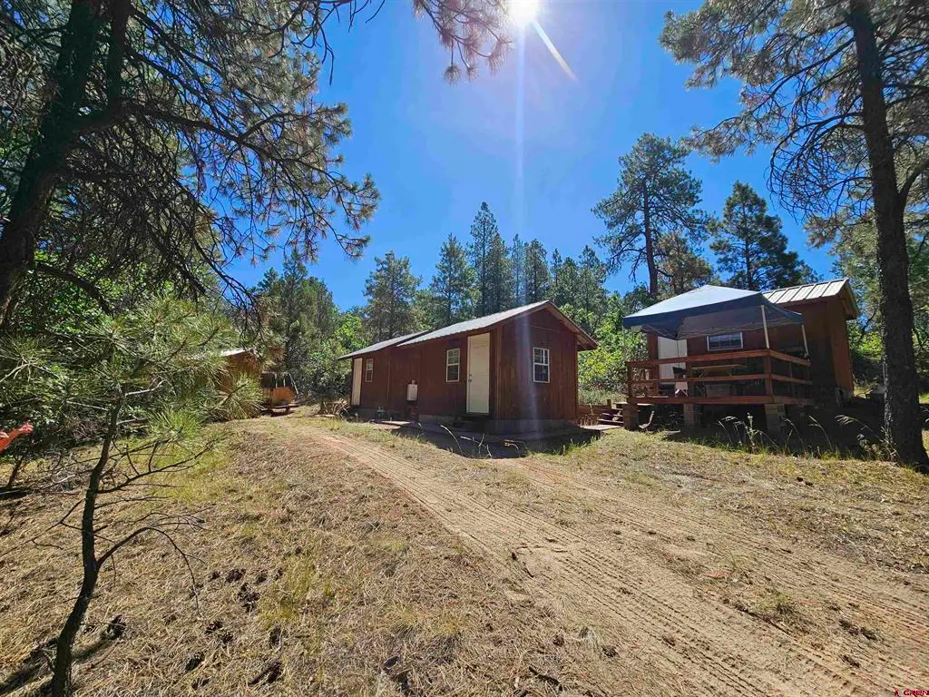 53 Crooked Rd, Pagosa Springs, CO 81147 - #1