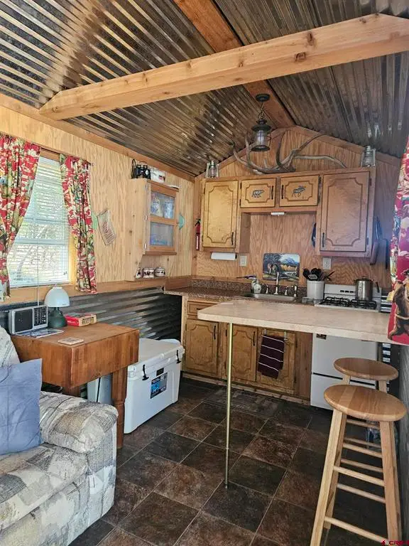 53 Crooked Rd, Pagosa Springs, CO 81147 - #3