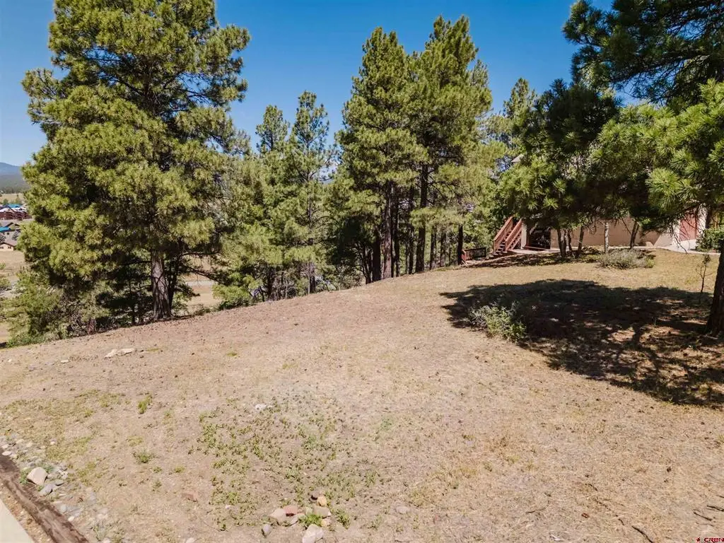 451 Handicap Avenue, Pagosa Springs, CO 81147 - #1