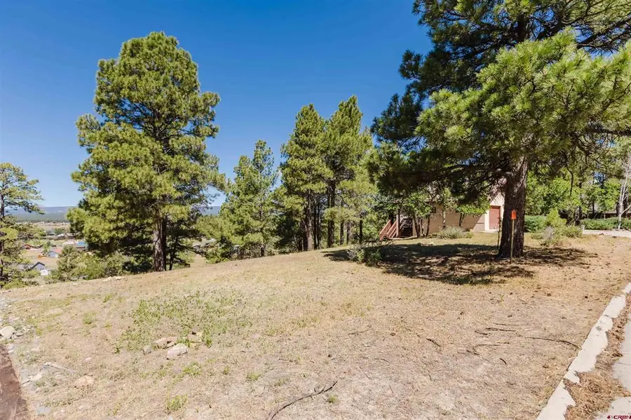 451 Handicap Avenue, Pagosa Springs, CO 81147 - #2