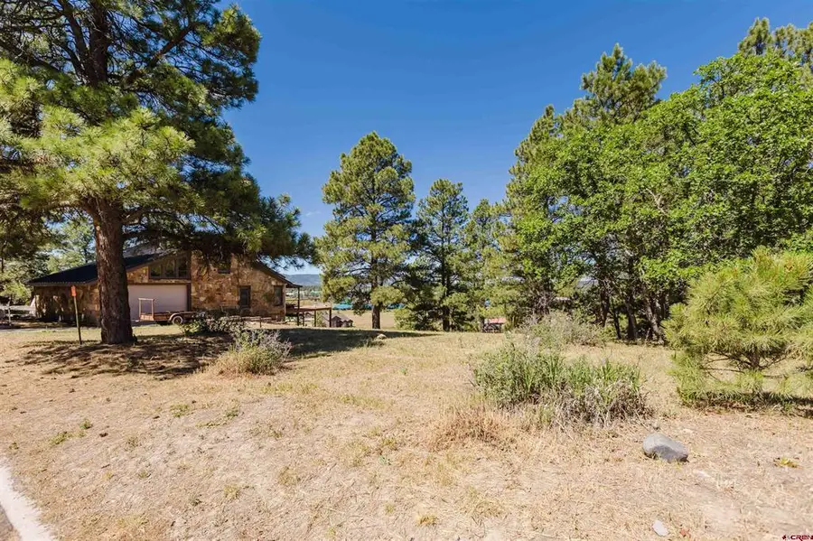 451 Handicap Avenue, Pagosa Springs, CO 81147 - #3