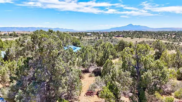 TBD Road V.6, Cortez, CO 81321