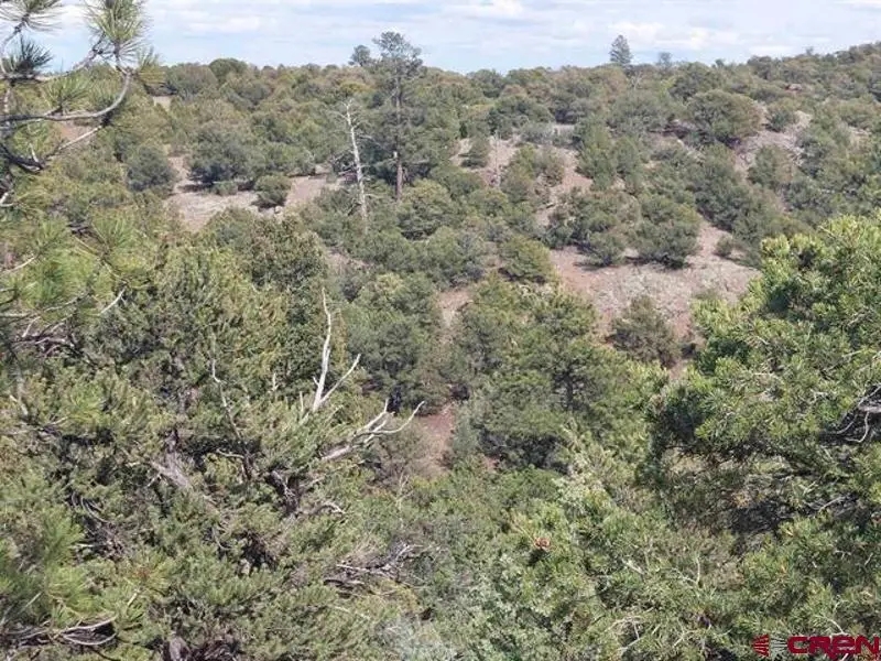 256 Sunrise Road, South Fork, CO 81154 - #3