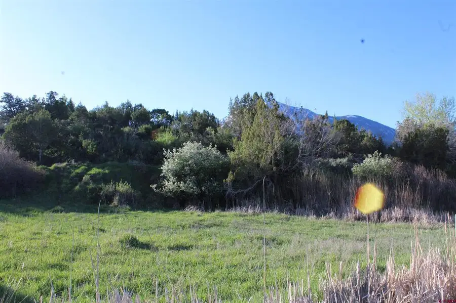 Lot 9 Gunnison Mountain Lane, Paonia, CO 81428 - #3