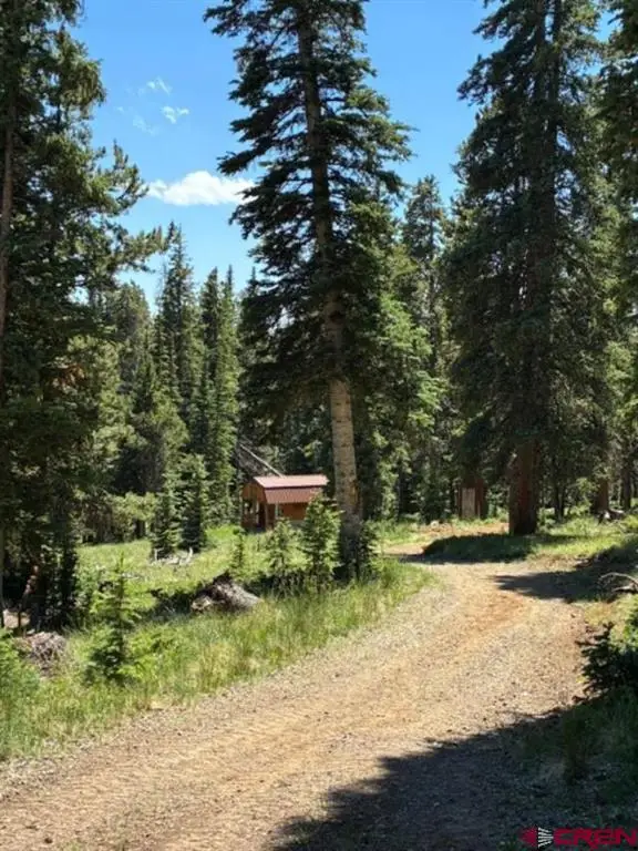TBD #4-5 Diamond Drive, Pitkin, CO 81241 - #3