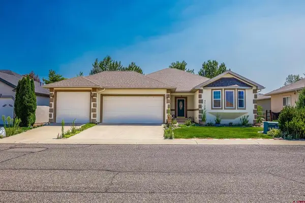 3715 Lone Tree Lane, Montrose, CO 81403