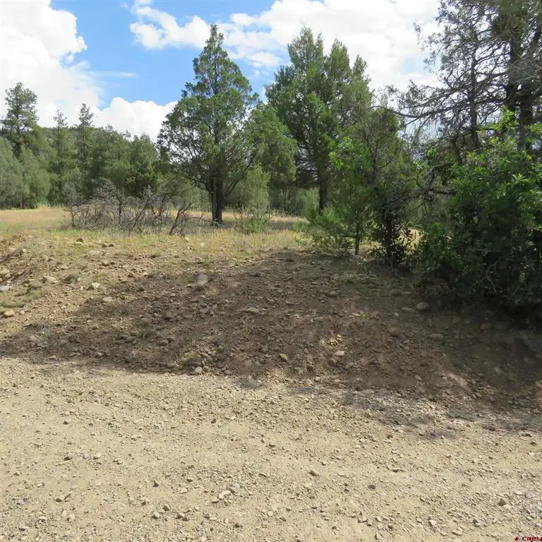 147 Calderwood Place, Pagosa Springs, CO 81147 - #1