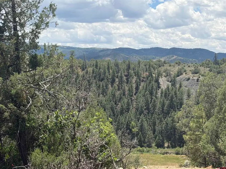 147 Calderwood Place, Pagosa Springs, CO 81147 - #2