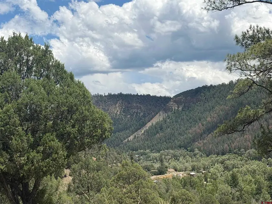 147 Calderwood Place, Pagosa Springs, CO 81147 - #3