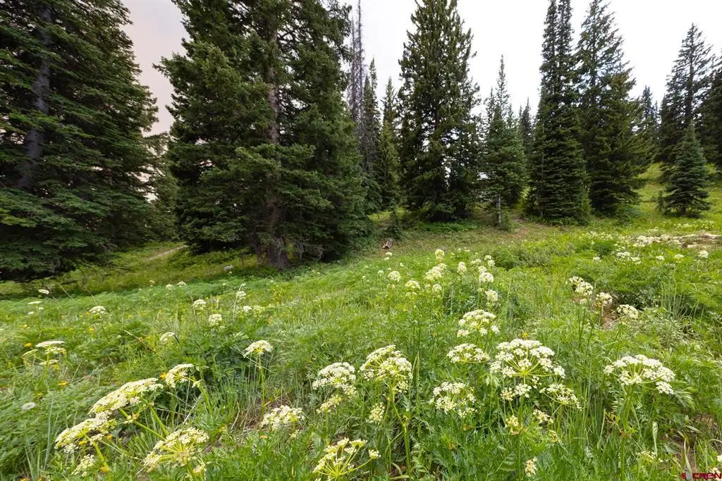290 7th Street, Crested Butte, CO 81224 - #1