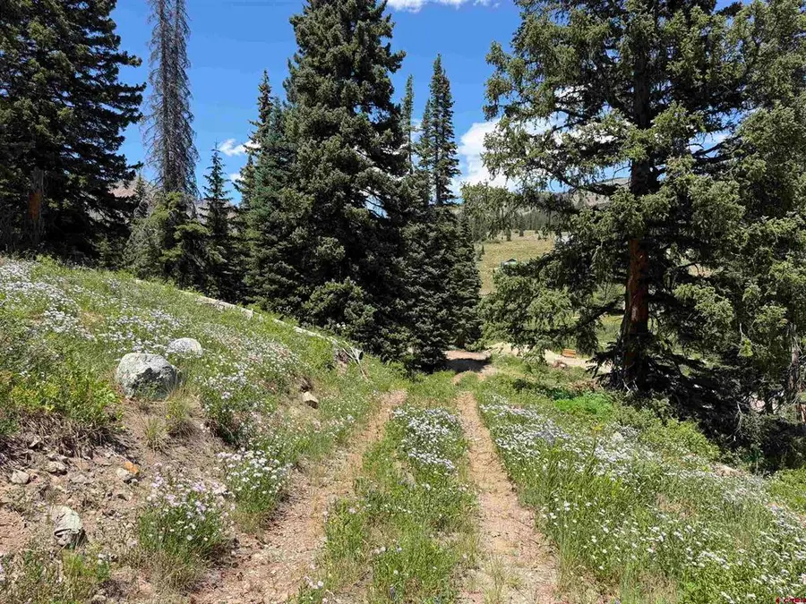 290 7th Street, Crested Butte, CO 81224 - #2