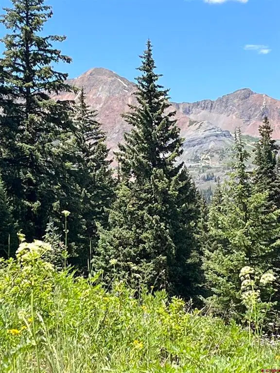 290 7th Street, Crested Butte, CO 81224 - #3