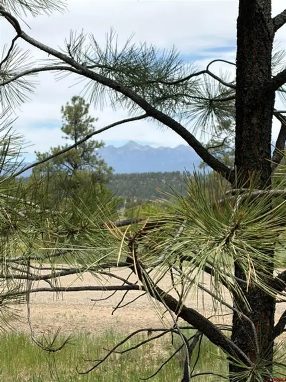 2321 Loma Linda Drive, Pagosa Springs, CO 81147 - #1