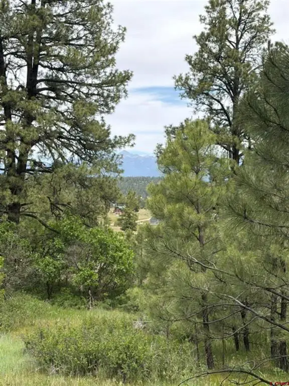 2321 Loma Linda Drive, Pagosa Springs, CO 81147 - #2