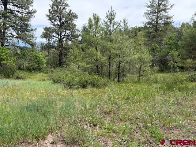 2321 Loma Linda Drive, Pagosa Springs, CO 81147 - #3