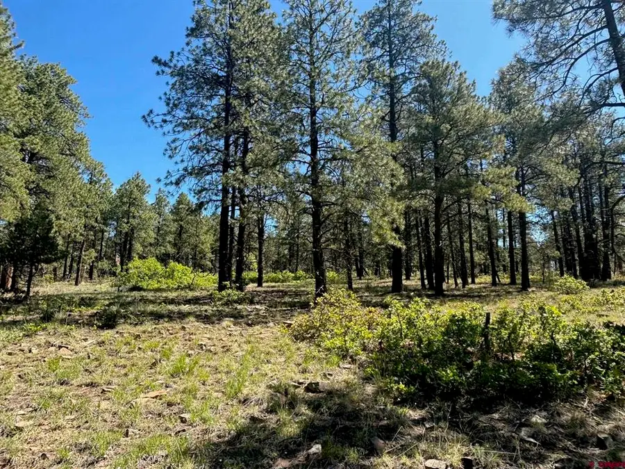 1523 West View Road, Pagosa Springs, CO 81147 - #2
