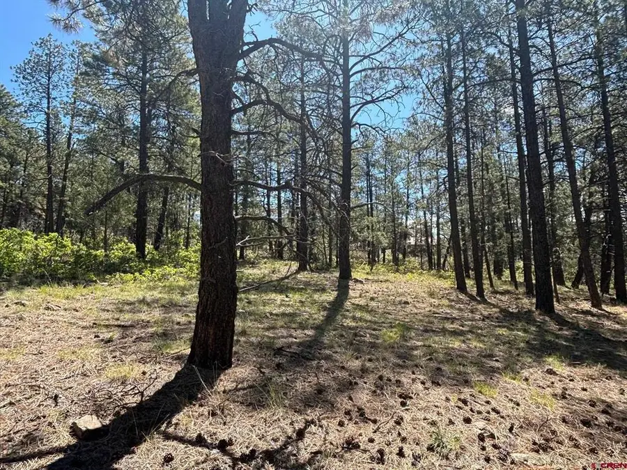 1523 West View Road, Pagosa Springs, CO 81147 - #3