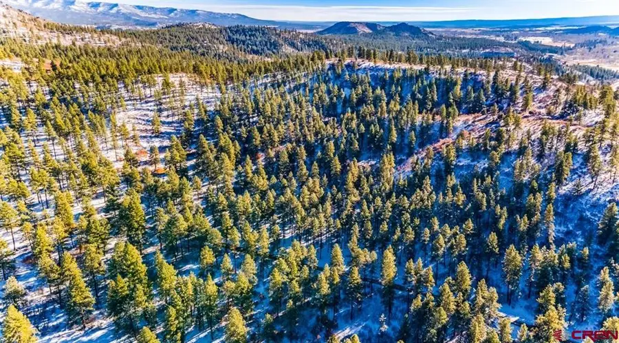 TBD Lot 13 Beaver Creek Ranch Drive, Bayfield, CO 81122 - #2