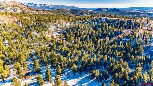 TBD Lot 11 Beaver Creek Ranch Drive, Bayfield, CO 81122