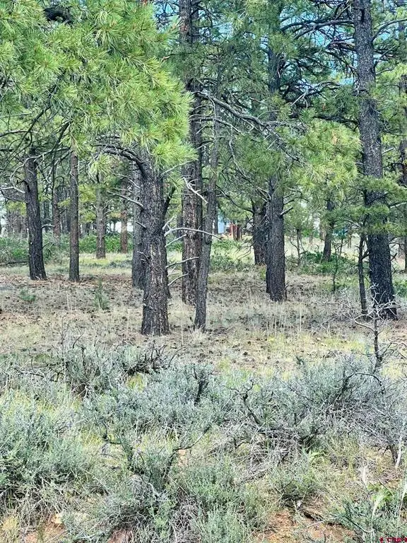 1627 West View Road, Pagosa Springs, CO 81147 - #1