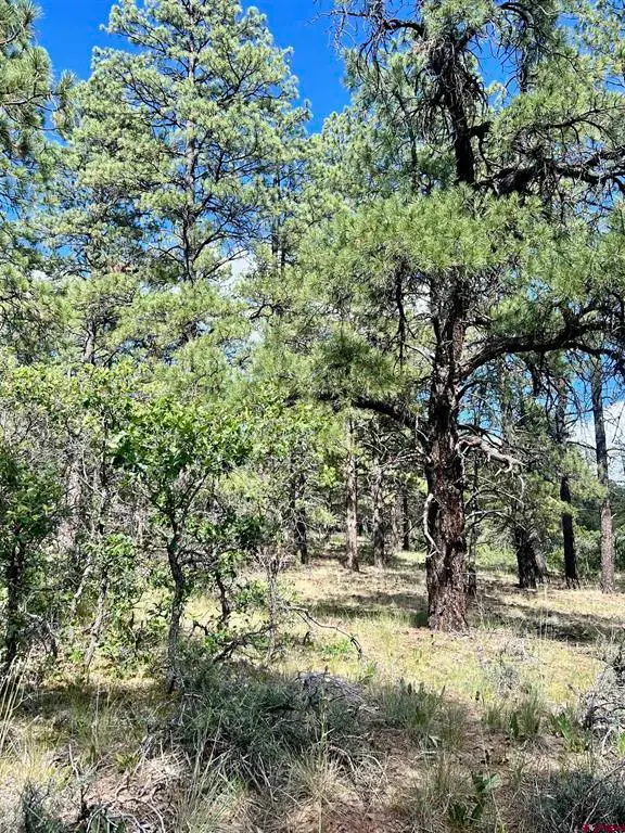 1627 West View Road, Pagosa Springs, CO 81147 - #3