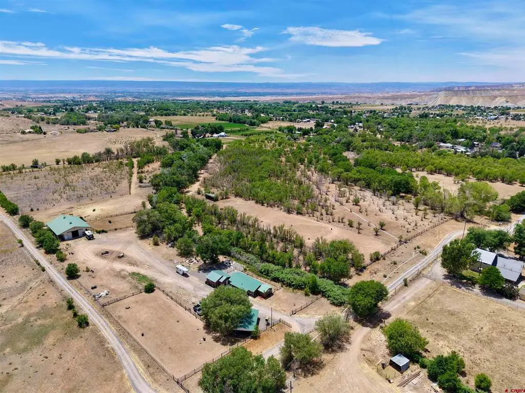 21902 Newland Road, Eckert, CO 81418 - #1