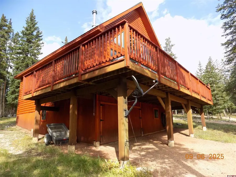 380 Forest Trail, Pitkin, CO 81241 - #3