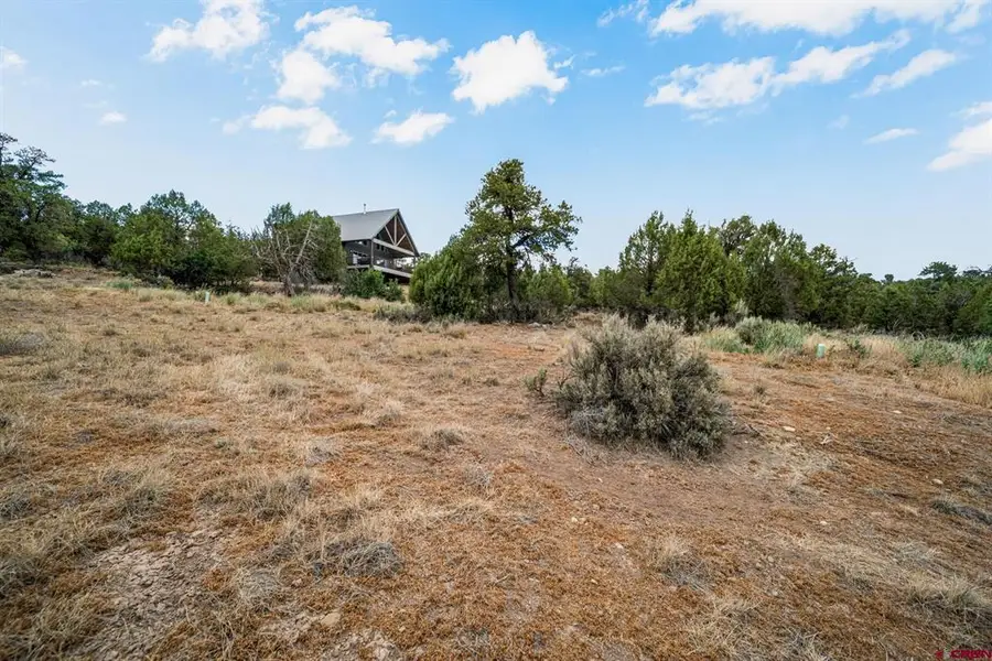 217 Rustic Ridge Road, Ignacio, CO 81137 - #3