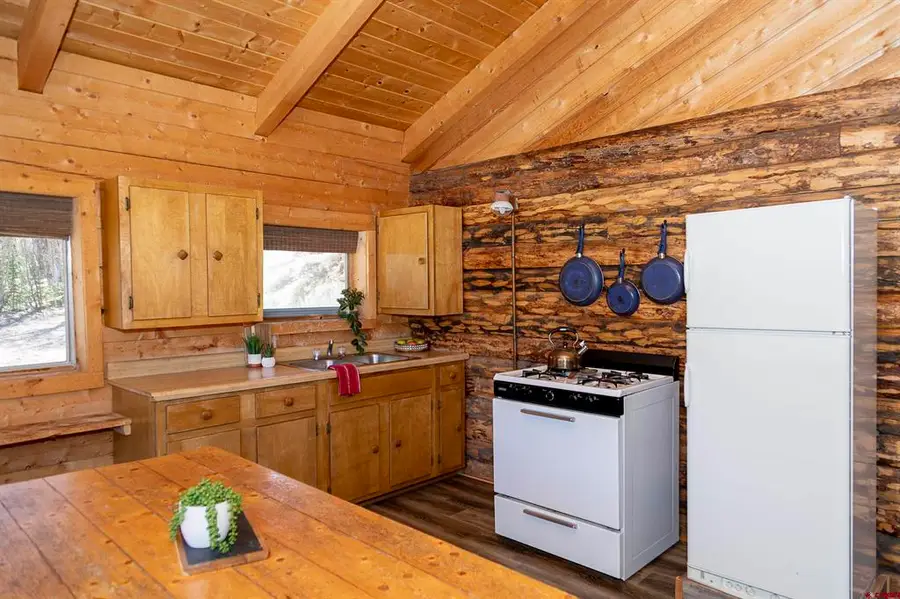 1001 Cr 17 #Alabama, Lake City, CO 81235 - #3