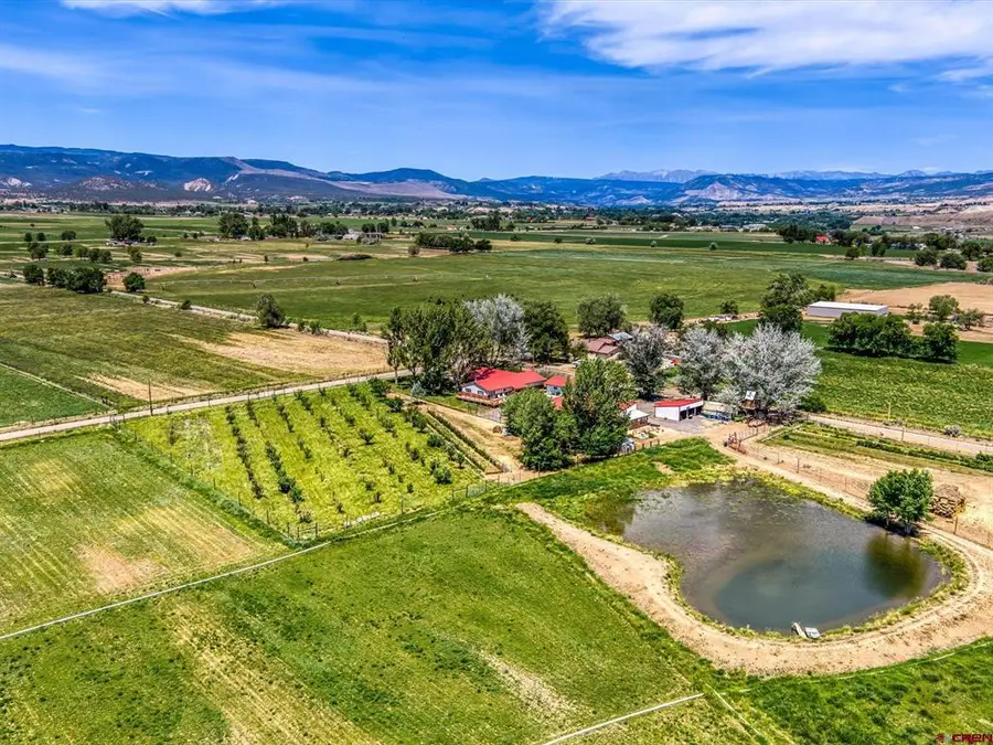 31984 Lazear Road, Hotchkiss, CO 81419 - #2