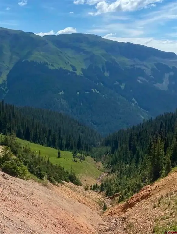 TBD Cr 110, Silverton, CO 81433 - #1