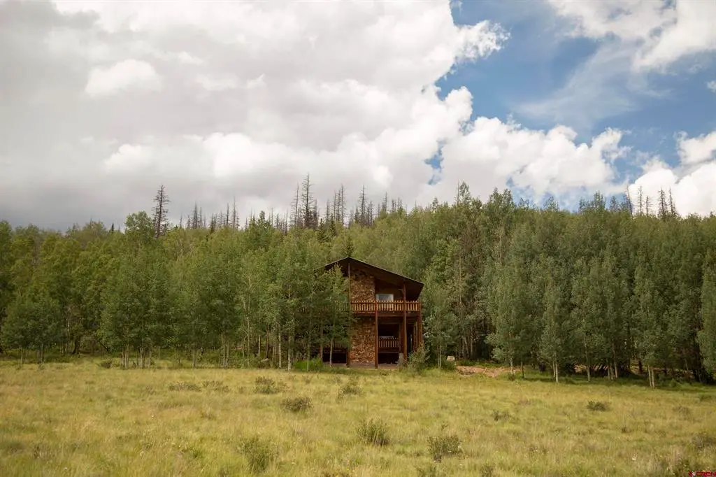 1001 Cr 17 #La Garita, Lake City, CO 81235 - #1
