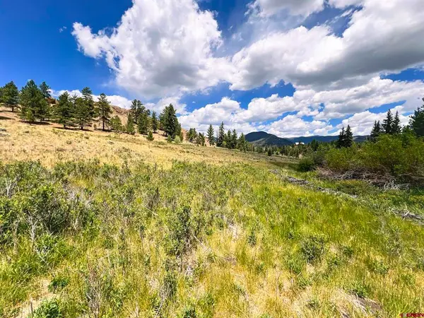 356 Church Creek Drive, South Fork, CO 81154