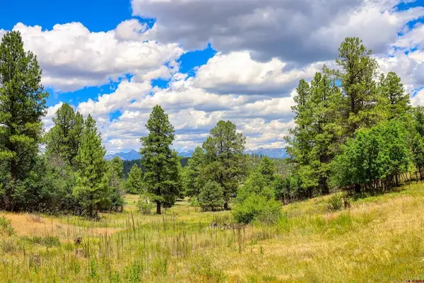 472 San Juan Drive, Pagosa Springs, CO 81147