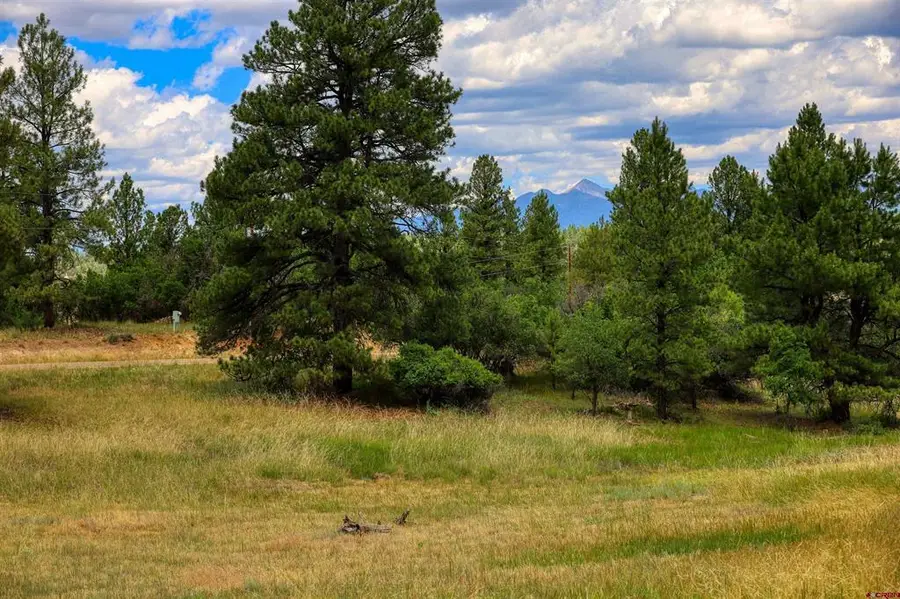 472 San Juan Drive, Pagosa Springs, CO 81147 - #3