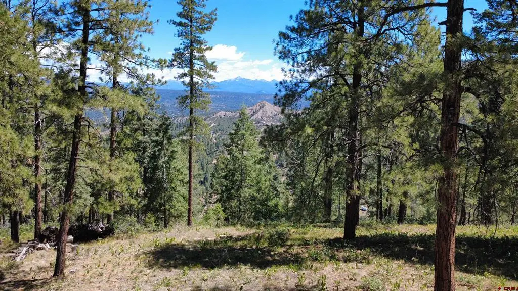 1203 Gun Barrel Road, Pagosa Springs, CO 81147 - #1