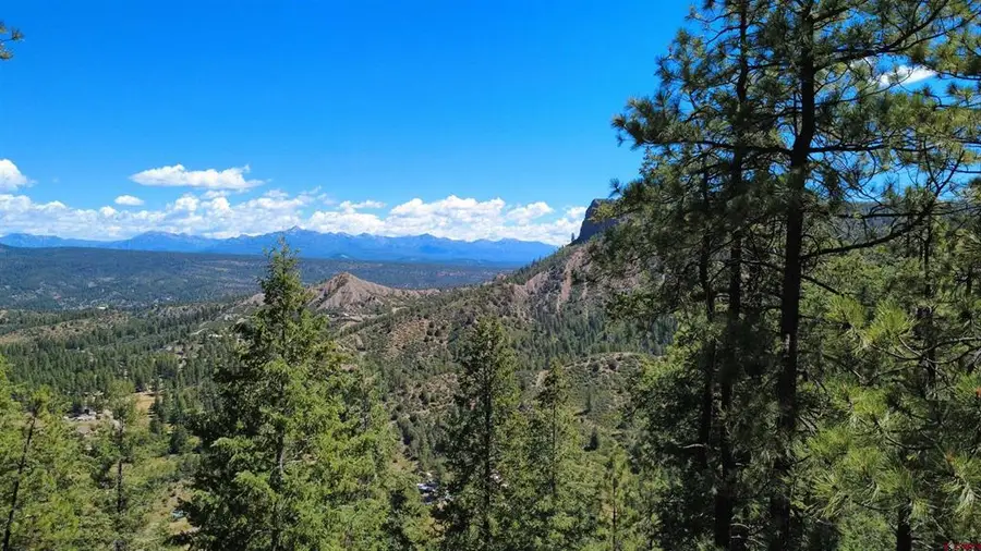 1203 Gun Barrel Road, Pagosa Springs, CO 81147 - #3