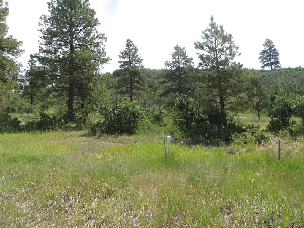 587 Santino Place, Pagosa Springs, CO 81147 - #1