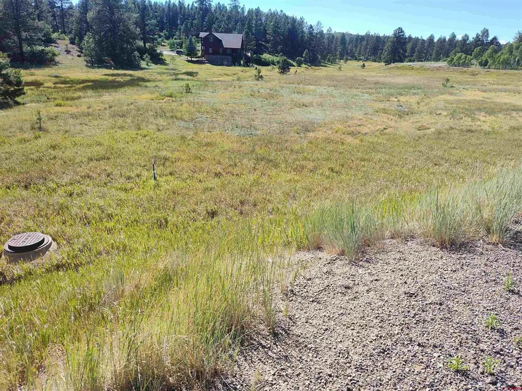 134 Santino Place, Pagosa Springs, CO 81147 - #1