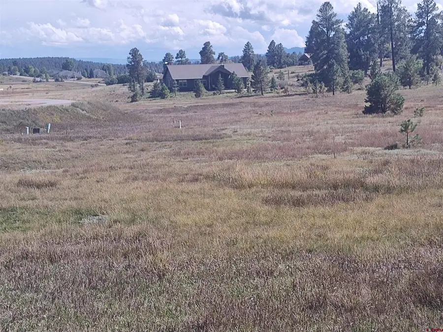 134 Santino Place, Pagosa Springs, CO 81147 - #3