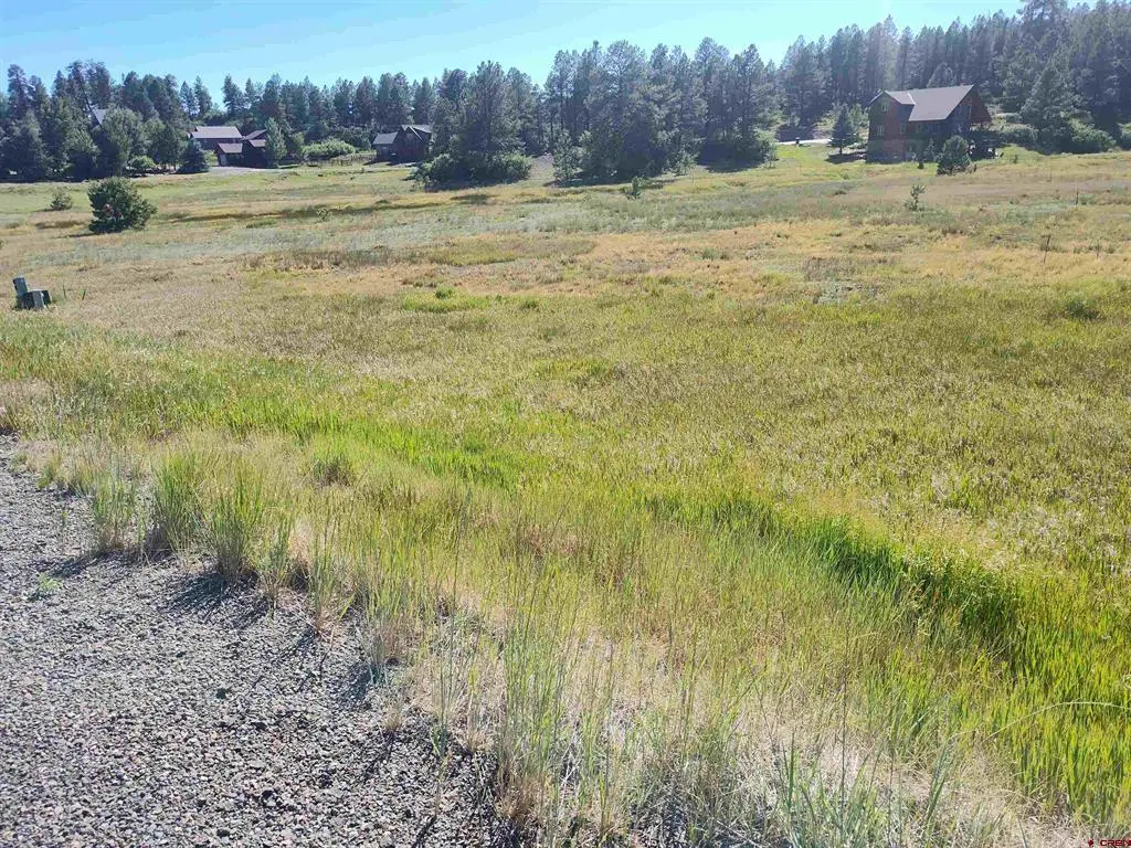 152 Santino Place, Pagosa Springs, CO 81147 - #1