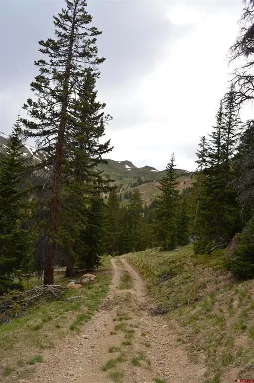 TBD Cr 35, Silverton, CO 81433 - #2
