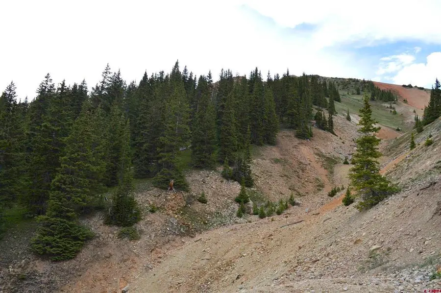 TBD Cr 35, Silverton, CO 81433 - #3
