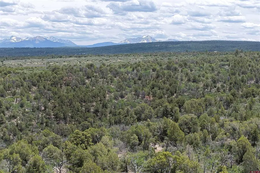Unassigned2 County Road Y43, Norwood, CO 81423 - #3