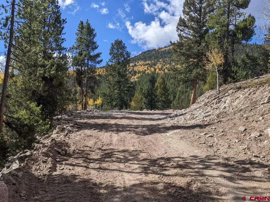 1675 Chicago Park Road, Pitkin, CO 81241 - #2