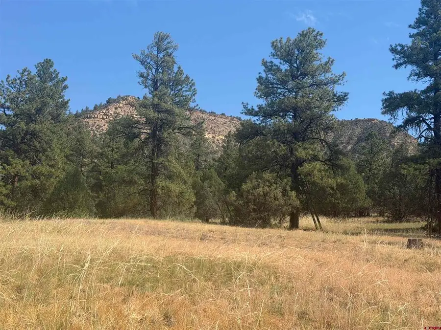 x Calderwood Place, Pagosa Springs, CO 81147 - #2